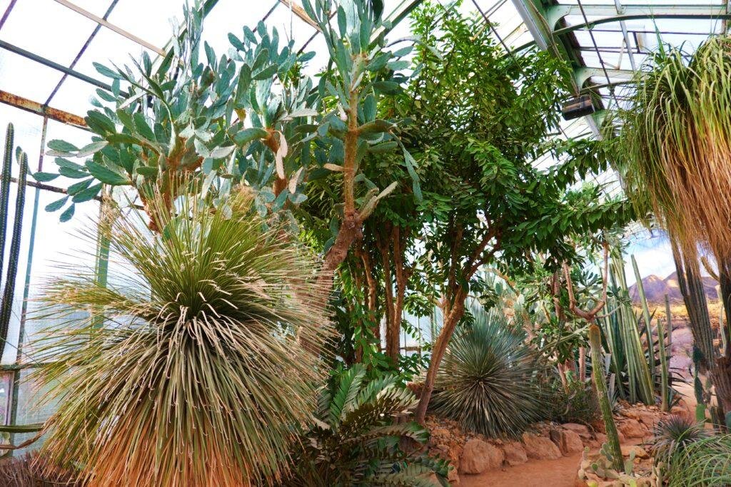Jardin des Plantes lyon in winter