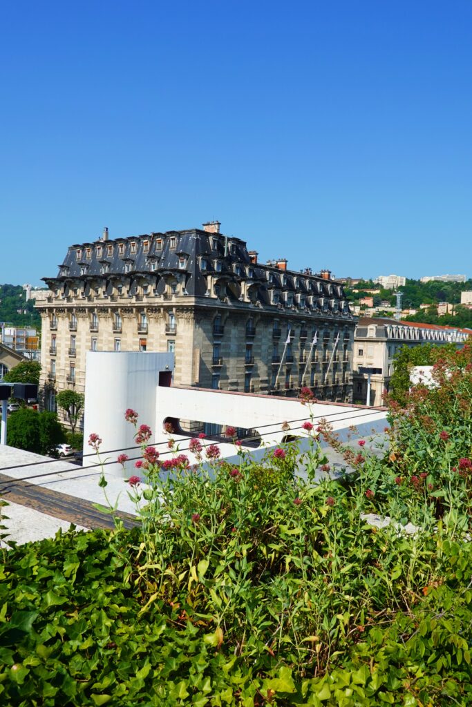 Perrache Secret Suspended Garden jardin suspendu perrache lyon