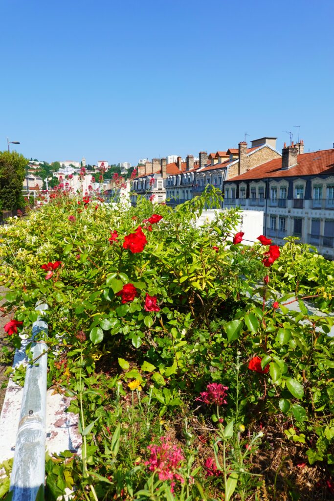 Perrache Secret Suspended Garden jardin suspendu perrache lyon