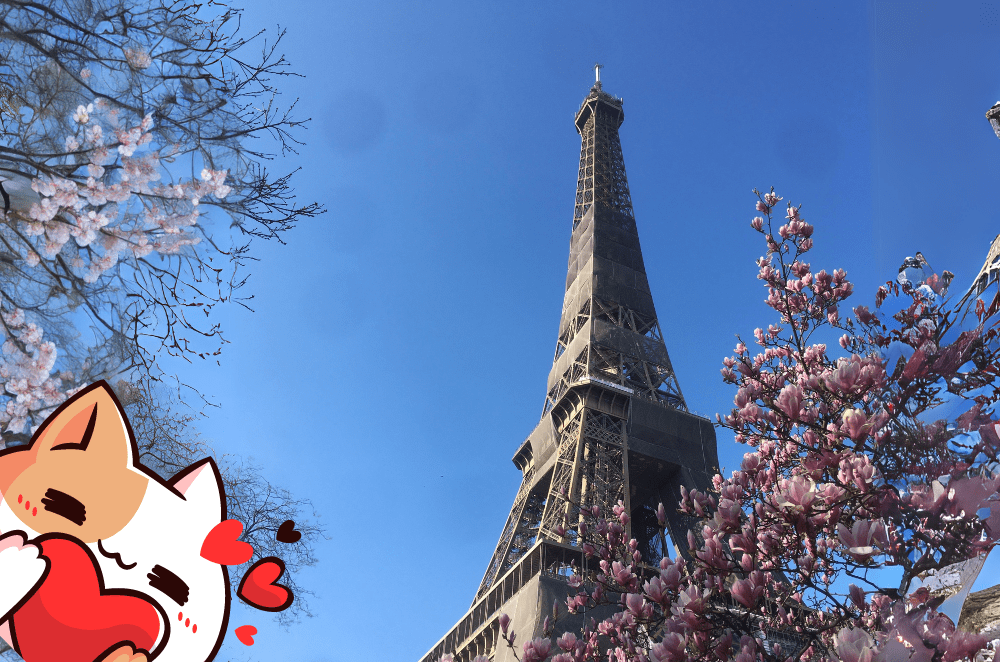 France Events & France Festivals featured final lyon trip