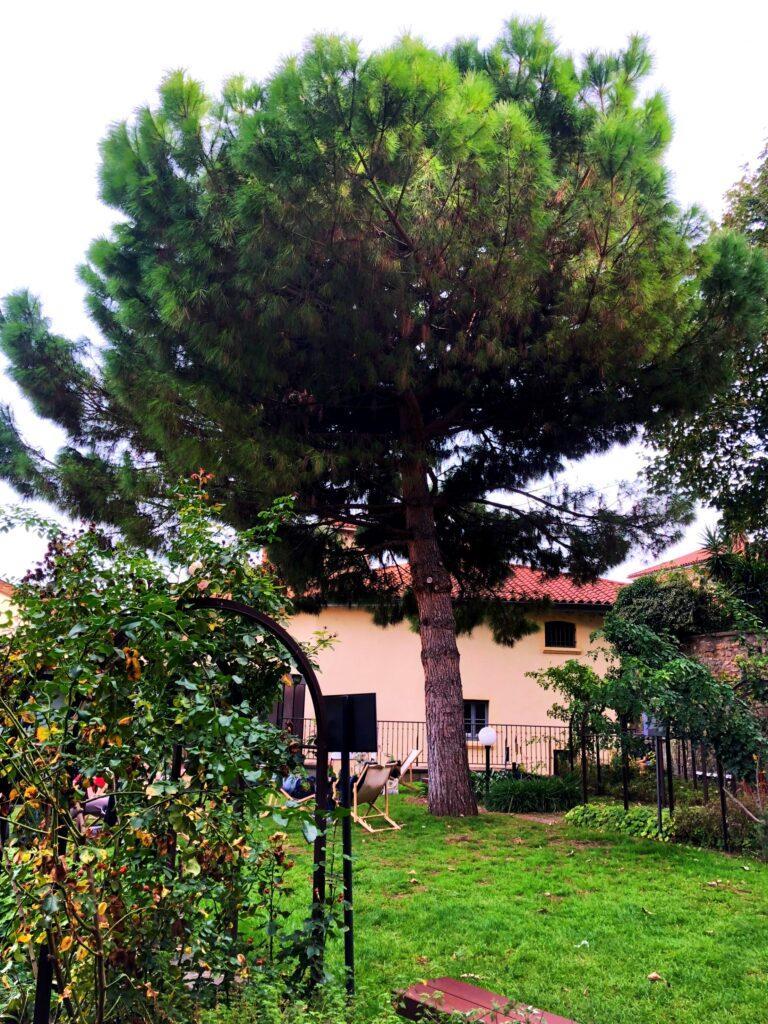 hidden gems secret things to do lyon Musee Gadagne cafe