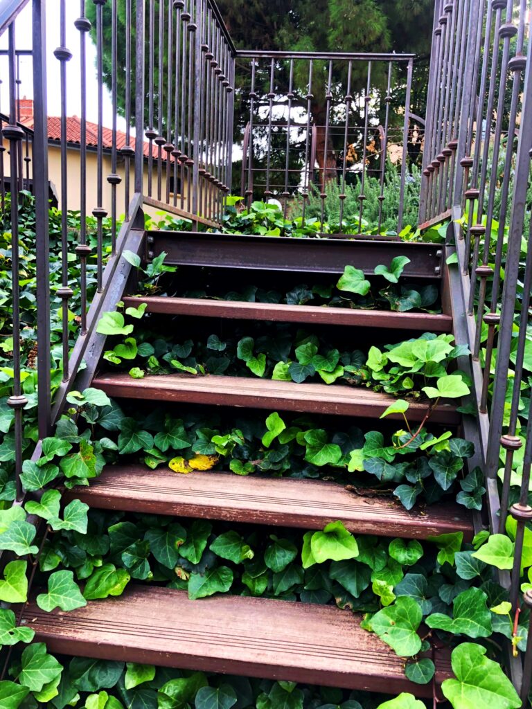 lyon Musee Gadagne cafe