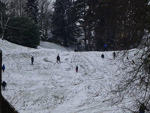 piste de la sarra lyon sledding