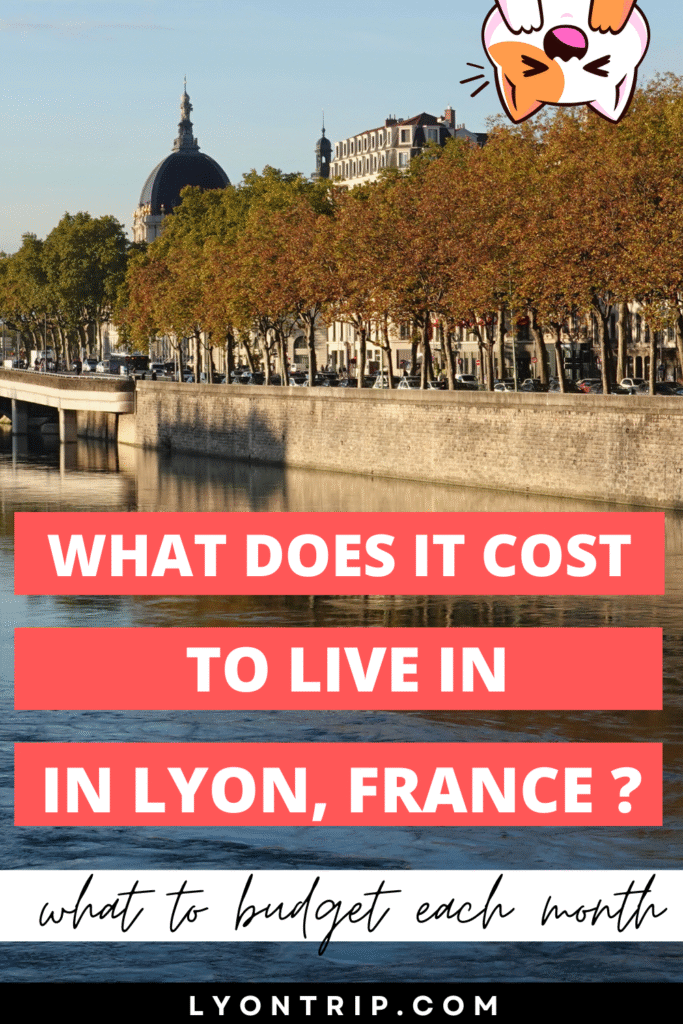 cost of living in lyon pinterest lyon trip 6