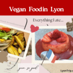 Vegan Food in Lyon lyon trip