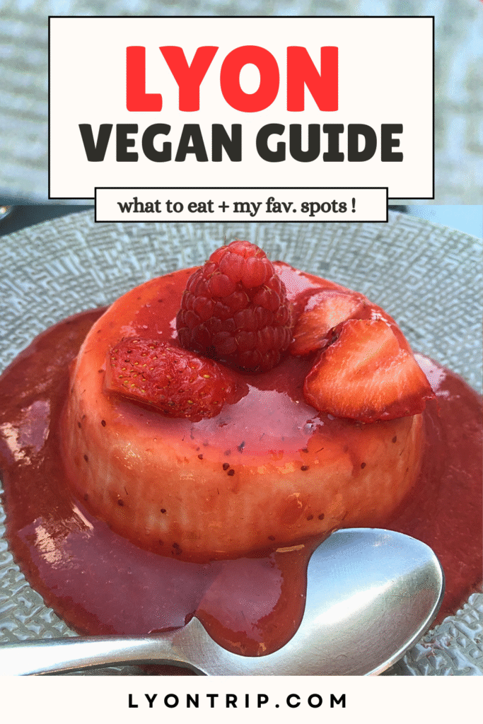 lyon vegan food guide 