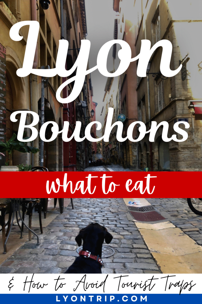 lyon bouchons pinterest lyon trip 1