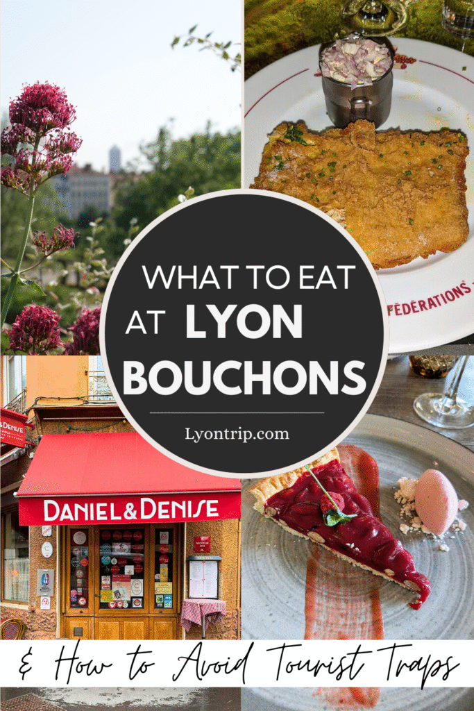 lyon bouchons pinterest lyon trip 4