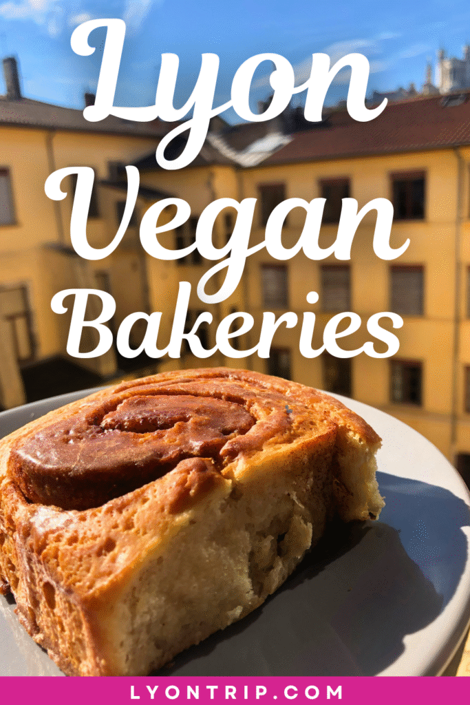 lyon vegan bakeries vegan food lyon trip vegan food cinnamon roll 