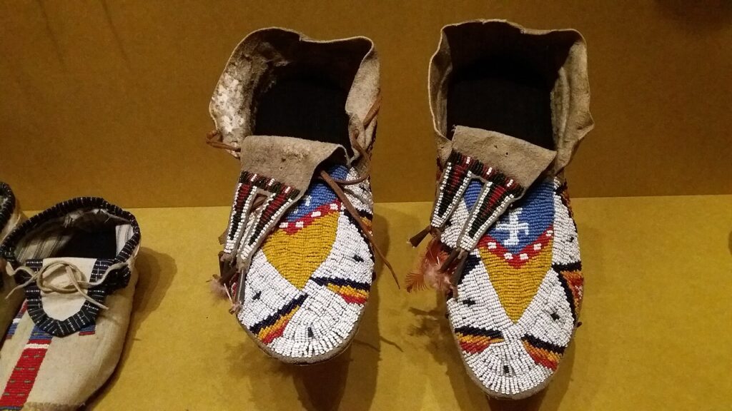 musee confluences sioux lyontrip2