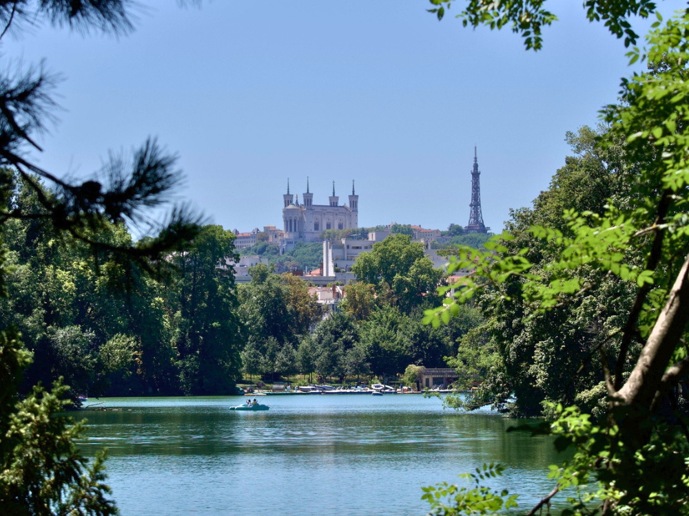 parc tete dor lyon lyon trip