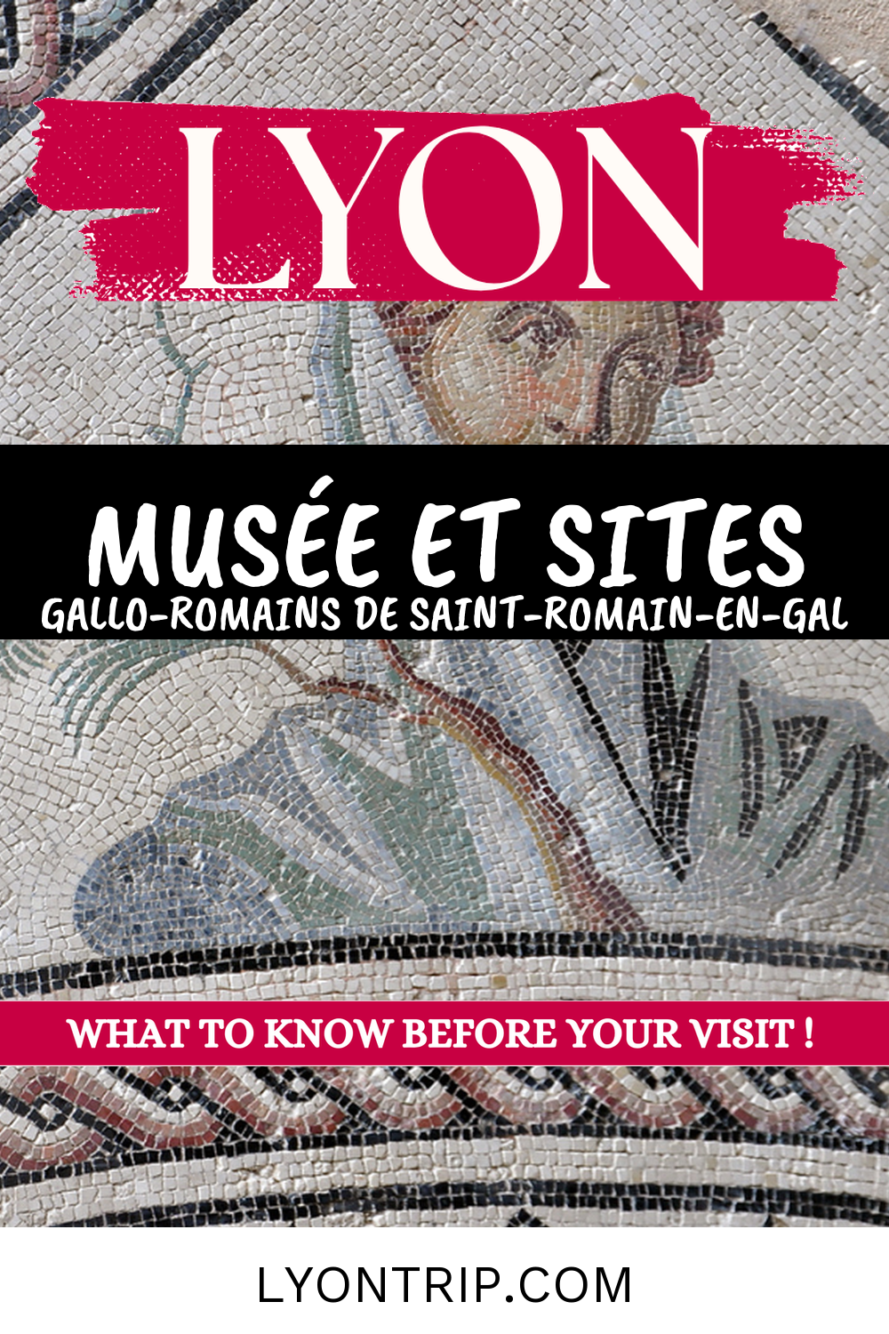 pin 1 musee gallo romain saint romain en gal lyontrip