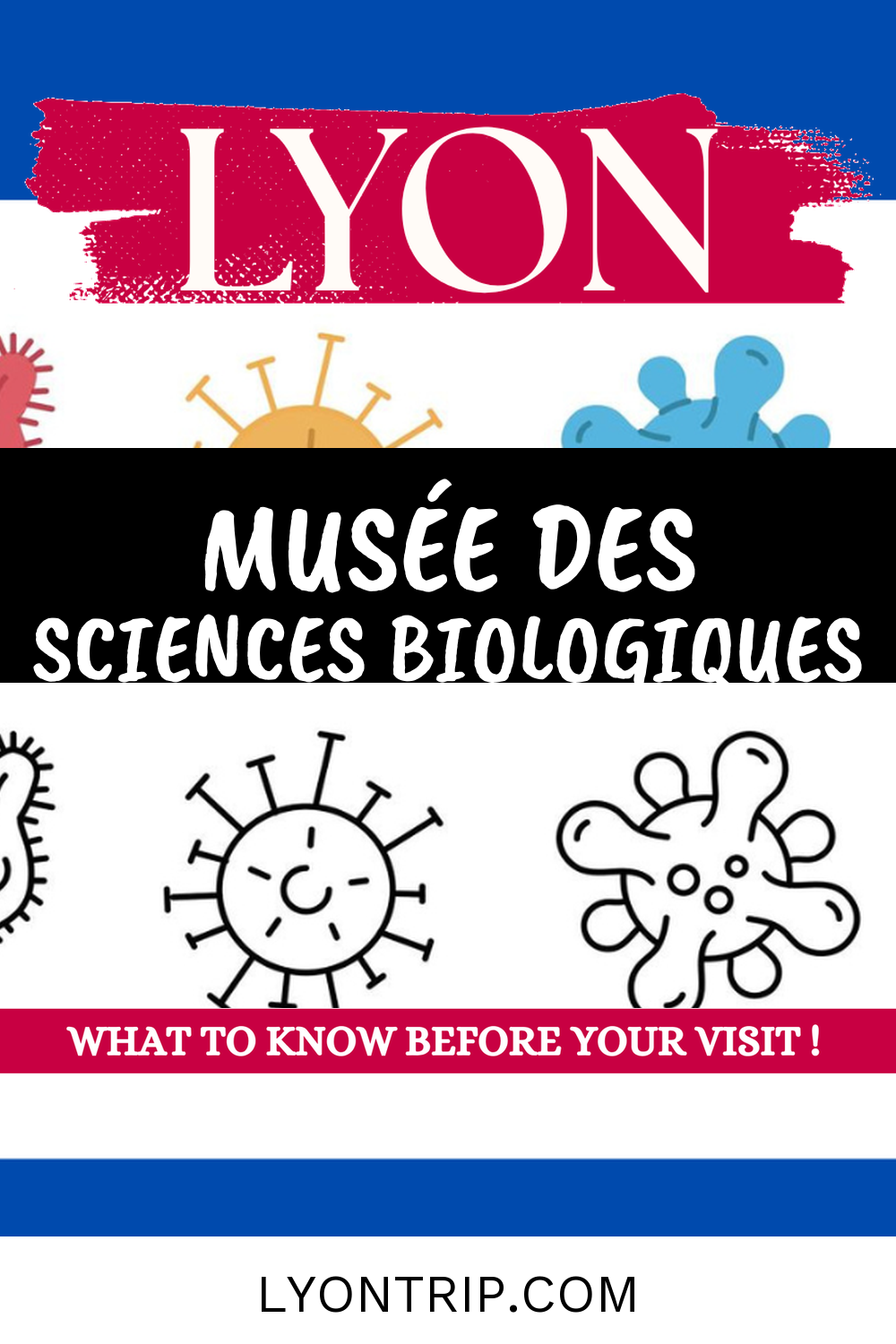 pin 1 musee sciences biologiques docteur merieux lyontrip