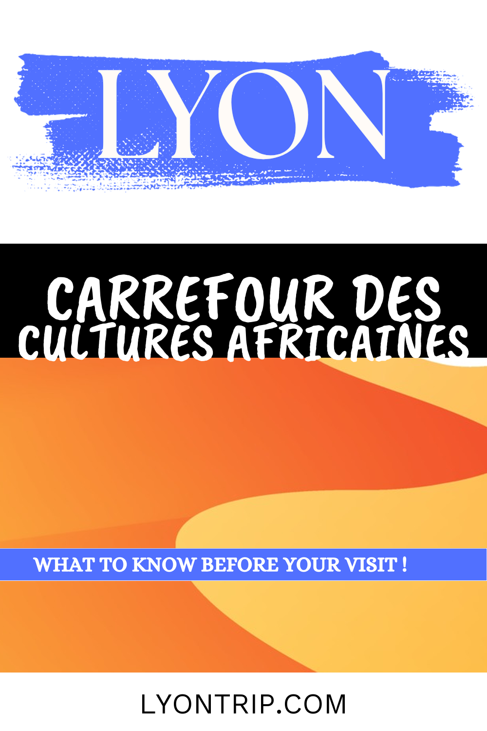 pin 6 carrefour cultures africaines lyontrip