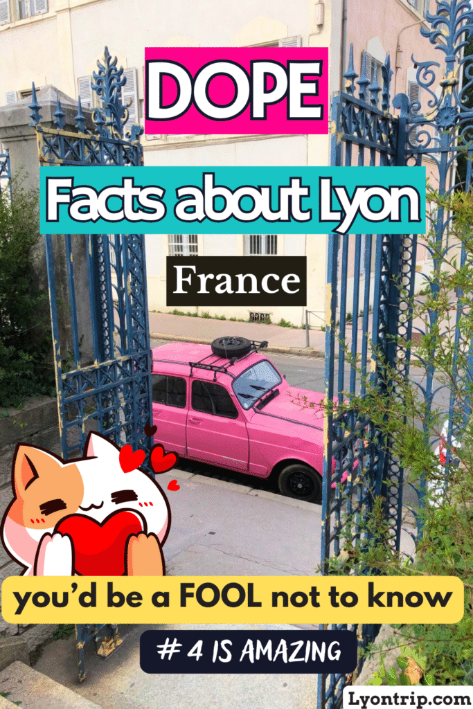 facts about lyon lyon trip pinterest