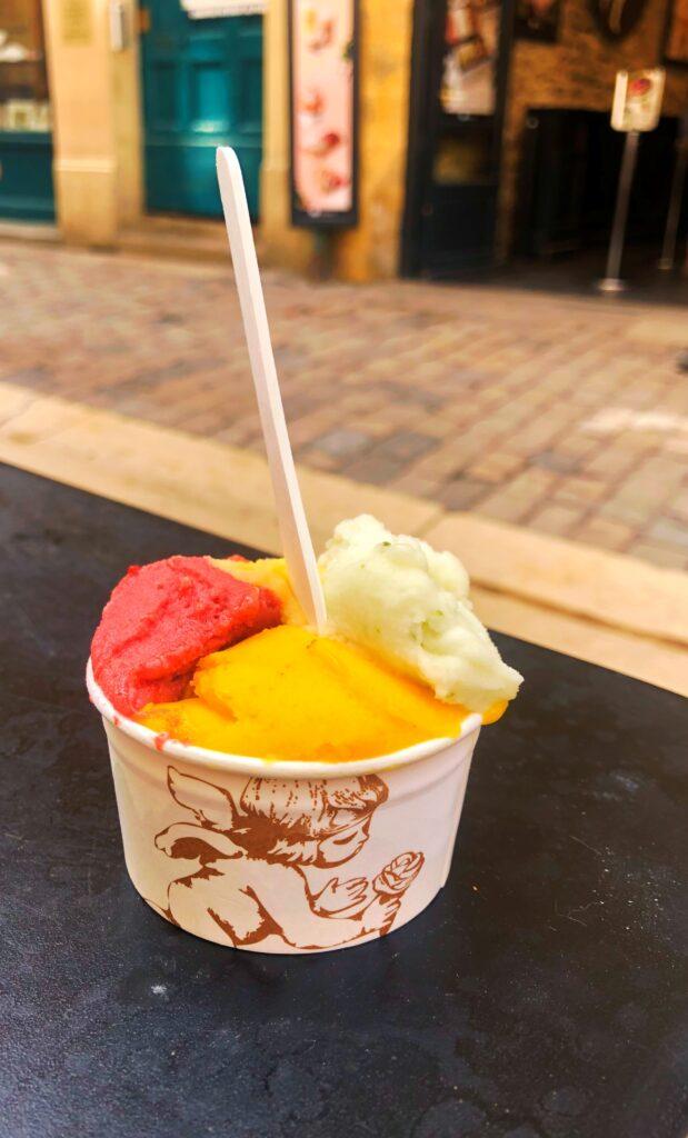 amorino vieux lyon vegan ice cream