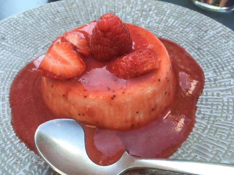 vegan food in lyon like an elephant lyon trip panna cotta