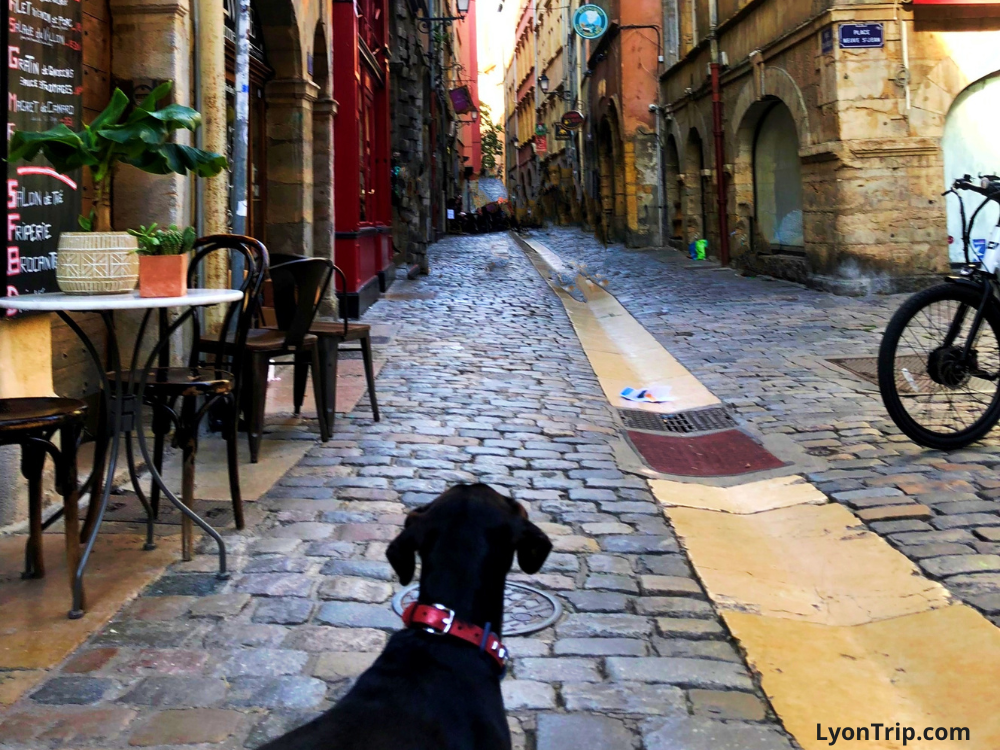 lyon trip vieux lyon feature alternative