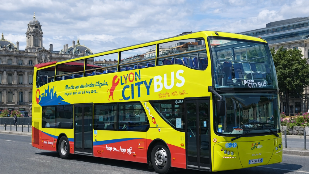 Hop on Hop off Bus