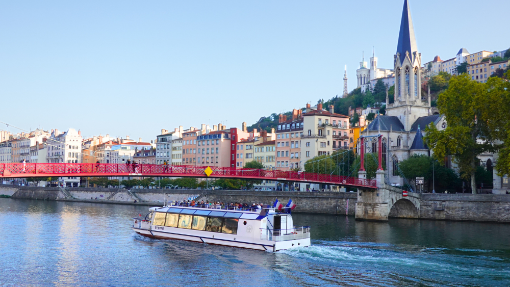 Sightseeing Cruise