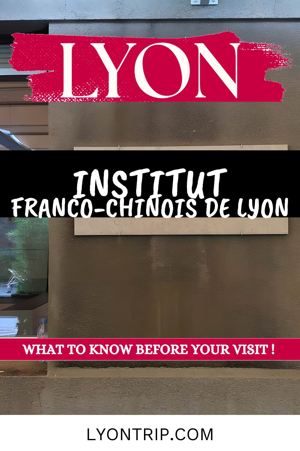 pin 1 institut franco chinois lyon lyontrip