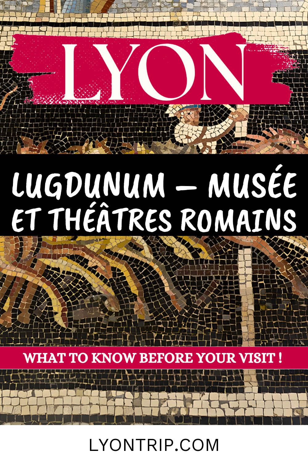pin 1 lugdunum musee theatres romains lyontrip