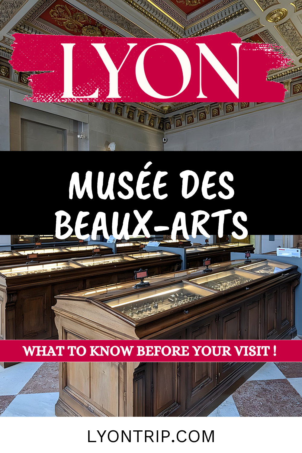 pin 1 musee beaux arts lyon lyontrip