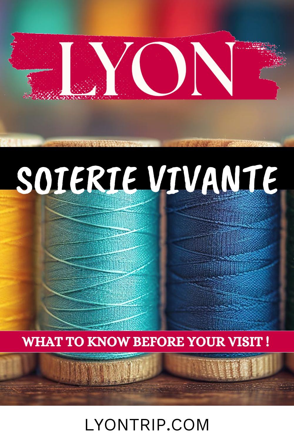 pin 1 soierie vivante lyontrip
