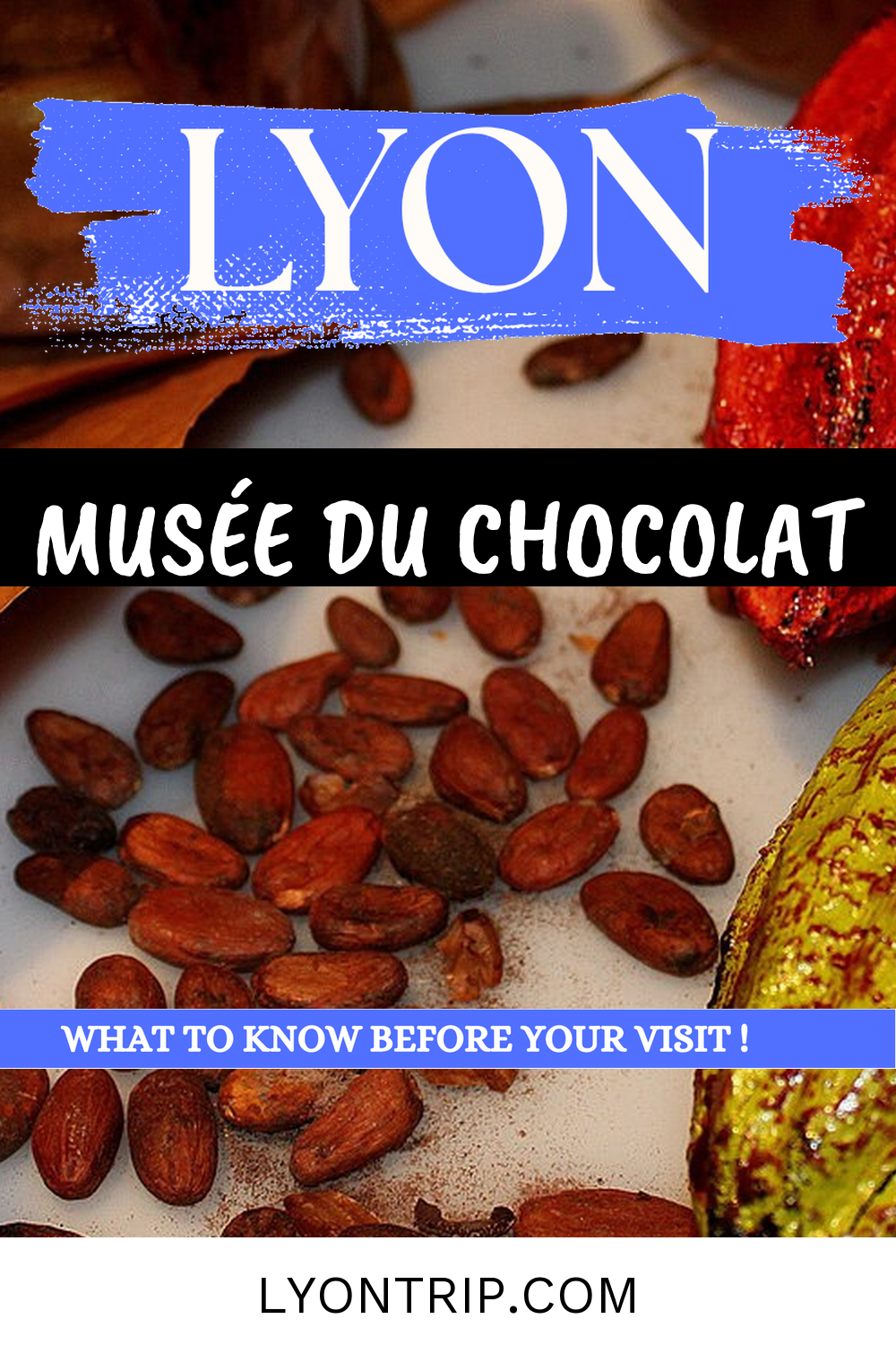 pin 6 musee chocolat lyon seve musco lyontrip