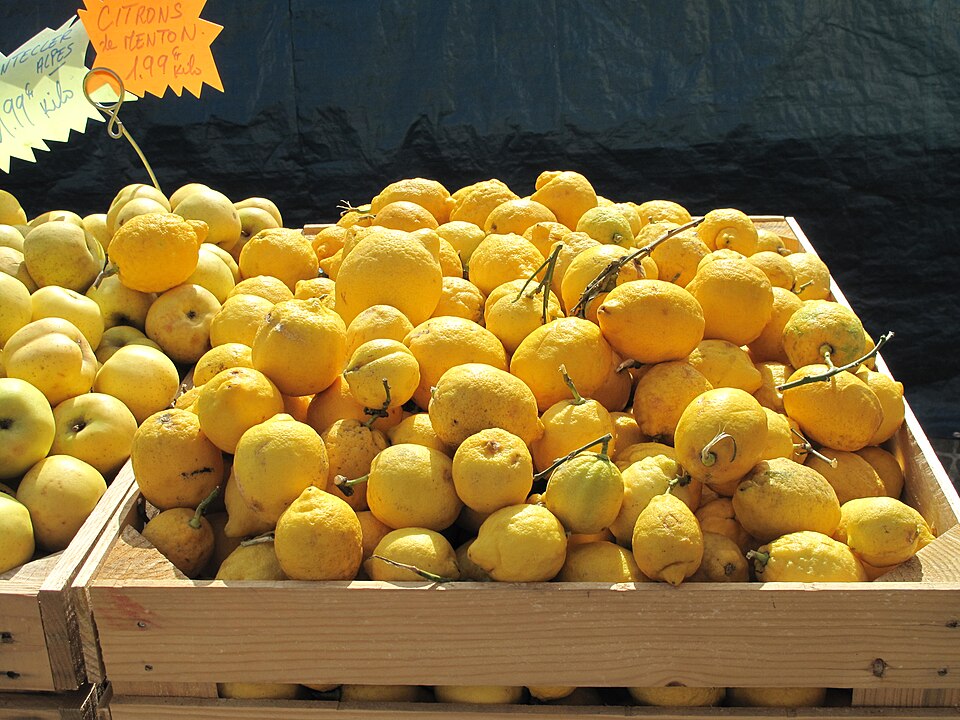 Citrons lemons