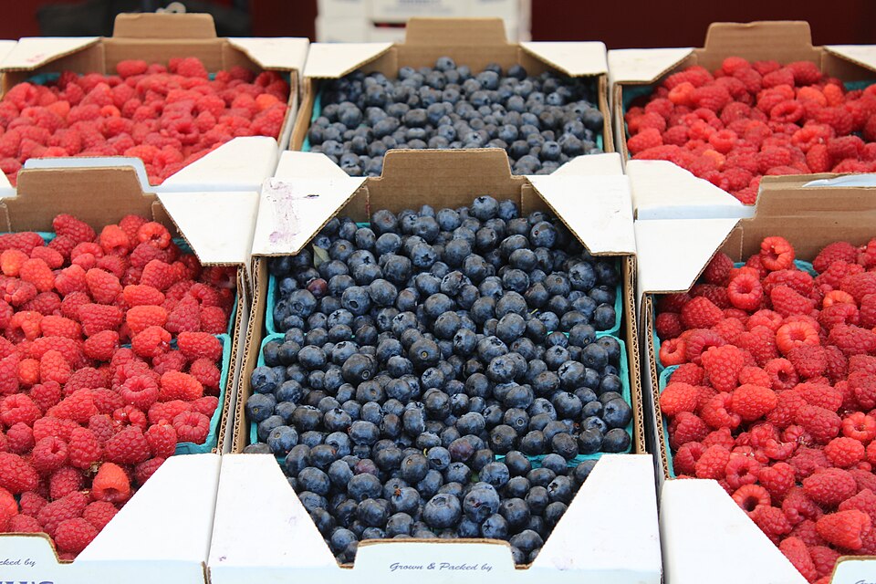 berries