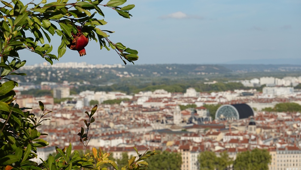 lyon DSC03293