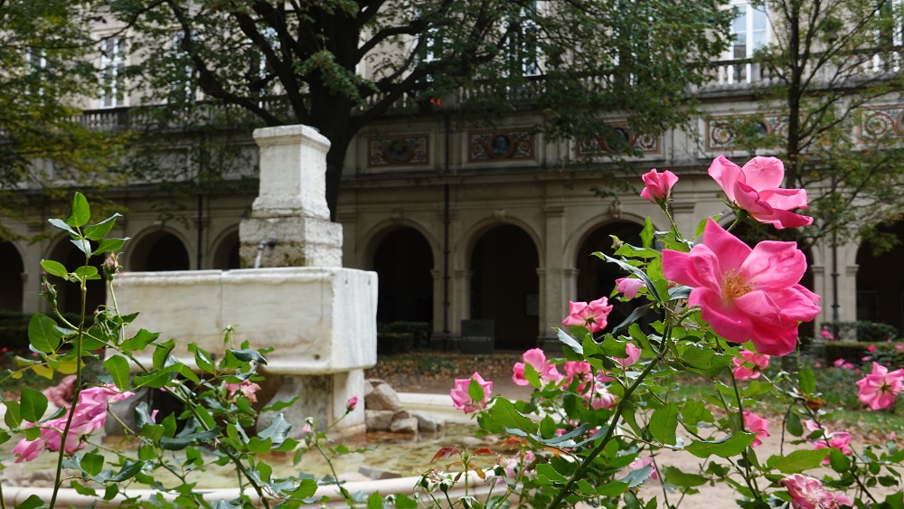 lyon DSC04173