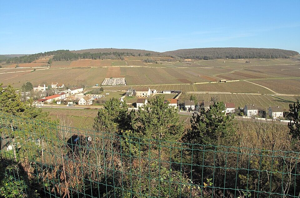 Savigny lès Beaune from rest area