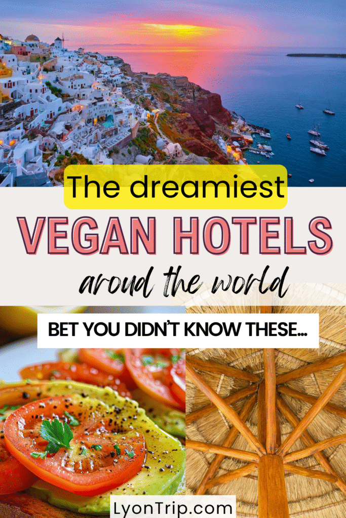 vegan hotels around the world lyontrip 3